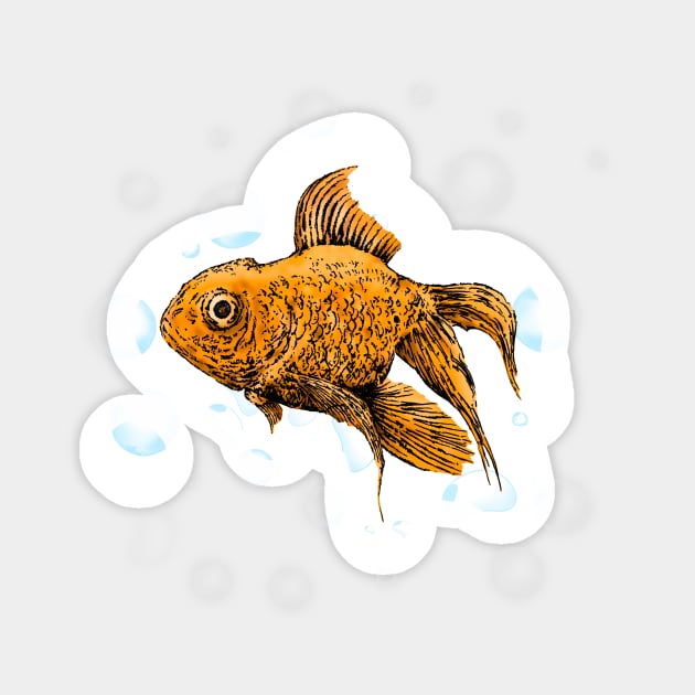 Gold Fish Sticker by Apatche